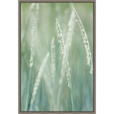 Amanti Art Abstract of beach rye grass by Don Paulson Danita Delimont Canvas Wall Art Print Framed 23 x 33-in.