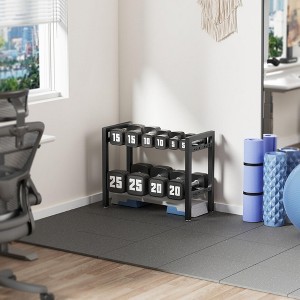 MOEPISY Dumbbell Rack 2-Tier 20 IN Length Adjustable Weight Rack - 1 of 4
