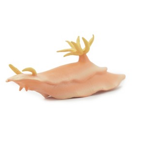 Collectible Wildlife Gifts | Sea Slug, Marine Mollusks, Museum Quality, Hand Painted, Rubber Gastropod, Realistic Toy, Model, Gift,   3"   CH482 BB153 - 1 of 4