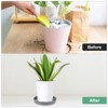 Unique Bargains Plastic Indoor Durable Flower Pot Plant Saucer 2 Pcs - 4 of 4