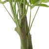 SEVOBAL Artificial Plants 160CM Money Tree Pre-Potted Faux Pachira Macrocapa for Feng Shui Home Decor, Green, 31.5"*31.5"*63" - 2 of 4
