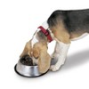Proselect Stainless Steel X-Super Heavyweight Non-Tip Pet Bowl, 9-Inch, 3-Quart - 2 of 3