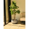 Rosemead Home & Garden, Inc. 16" Wide Kante Lightweight Outdoor Concrete Oval Bowl Decorative Planter Slate Gray: Modern Patio Decor - 3 of 4