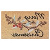 HomeRoots 17" X 29" Natural And Brown Merry Christmas Outdoor Coir Door Mat - 4 of 4