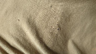 Guest review image 1 of 1, zoom in