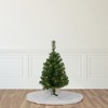 Northlight Pre-Lit Medium Oakridge Noble Fir Artificial Christmas Tree - 2' - Clear Lights - 2 of 4