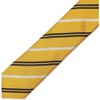 Spooky Central Yellow Wizard School Necktie with Glitter for Halloween Costumes and Cosplay, School Uniform - 4 of 4