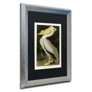 John James Audubon 'American White Pelican' Matted Framed Art-16x20 - 1 of 4