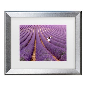 Trademark Fine Art - Massimo Della Latta Violet Matted Framed Art - 1 of 4