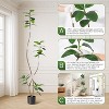Artificial tree, indoor artificial tall plant, simulated double-pole green oak leaf tree, suitable for placement in many occasions - 4 of 4