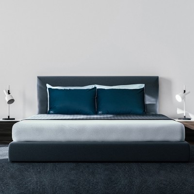 Queen Size Blue Hypoallergenic Down Alternative Pillow Set