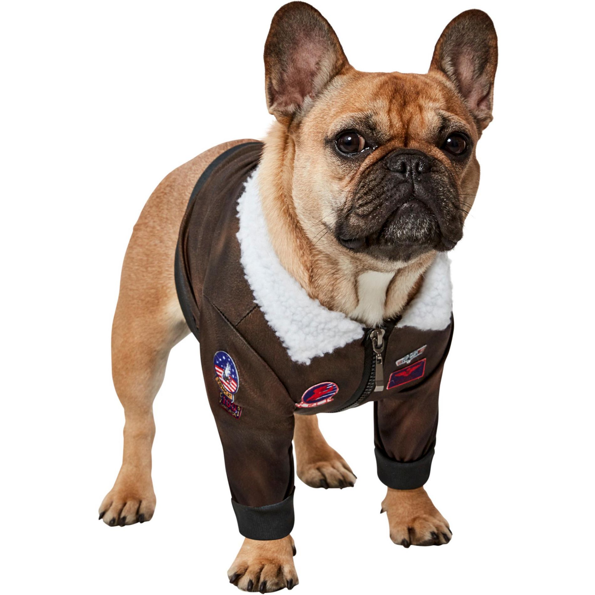 Rubies Top Gun Pet Costume