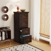 Tribesigns 4-Drawer Vertical Filing Cabinet for A4/Letter/Legal Files, Tall Storage Printer Stand with Hanging Rails for Home Office - 4 of 4