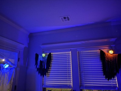 Guest review image 5 of 5, zoom in