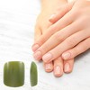 Unique Bargains Women's Fashion Fake Nails Assorted Color 120-pieces Per Set - 2 of 4