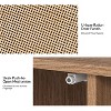 Lenz 63 Wide Modern Rattan Design Sideboard with 2 Adjustable Shelves|ART OF LIVING DESIGNS - 4 of 4