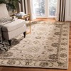 Anatolia AN586 Hand Tufted Area Rug  - Safavieh - 2 of 4