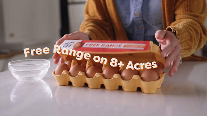 Happy Egg Co. Large Brown Grade A Free Range Eggs - 12ct, 2 of 9, play video