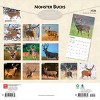 BrownTrout Monster Bucks 2026 12"x24" Hanging Square Wall Calendar Plastic-Free - 2 of 4