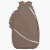 embe Laylo Sleep Sack DUO (Sheet + Comforter-in-1), 6-24 months - 3 of 4
