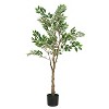 Cesicia 51" Artificial Ficus Tree with Black Plastic Pot, Fake Plant for Home or Office Decor - 2 of 4