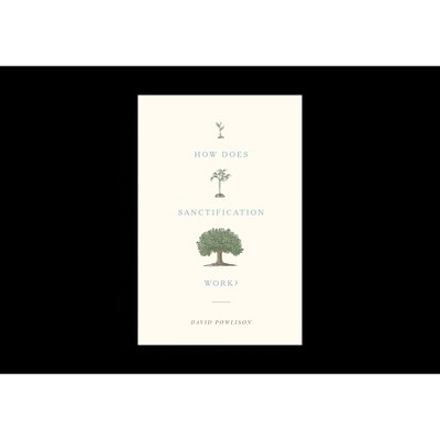 How Does Sanctification Work? - by  David Powlison (Paperback)