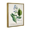 Stupell Industries Botanical Plant Illustration Blue Flowers Vintage Design - 3 of 4