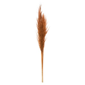 Vickerman 46" Dried Pampas Grass - 1 of 1
