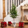 Northlight Artificial Cedar Christmas Tree in Birch Pot - 38" - Unlit - 2 of 4