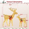 Yaheetech 2 Piece Lighted Christmas reindeer Outdoor Christmas Decoration - 3 of 4