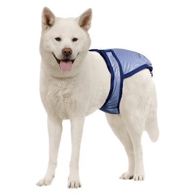 PoochPants Diapers for Pets - Blue