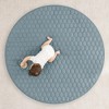 Premium Play Mat - Soft and Comfortable Kids & Toddler Play Mat with Non-Slip Bottom By Comfy Cubs - 2 of 4