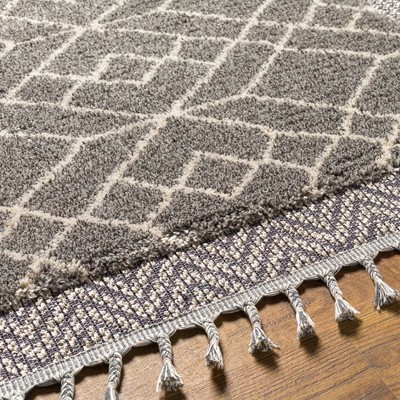 Hauteloom Ballybunnion Area Rug