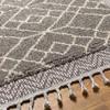 Hauteloom Ballybunnion Area Rug - 3 of 4