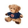 NCAA Auburn Tigers Baby Bro Mascot Plush 10" - 2 of 3