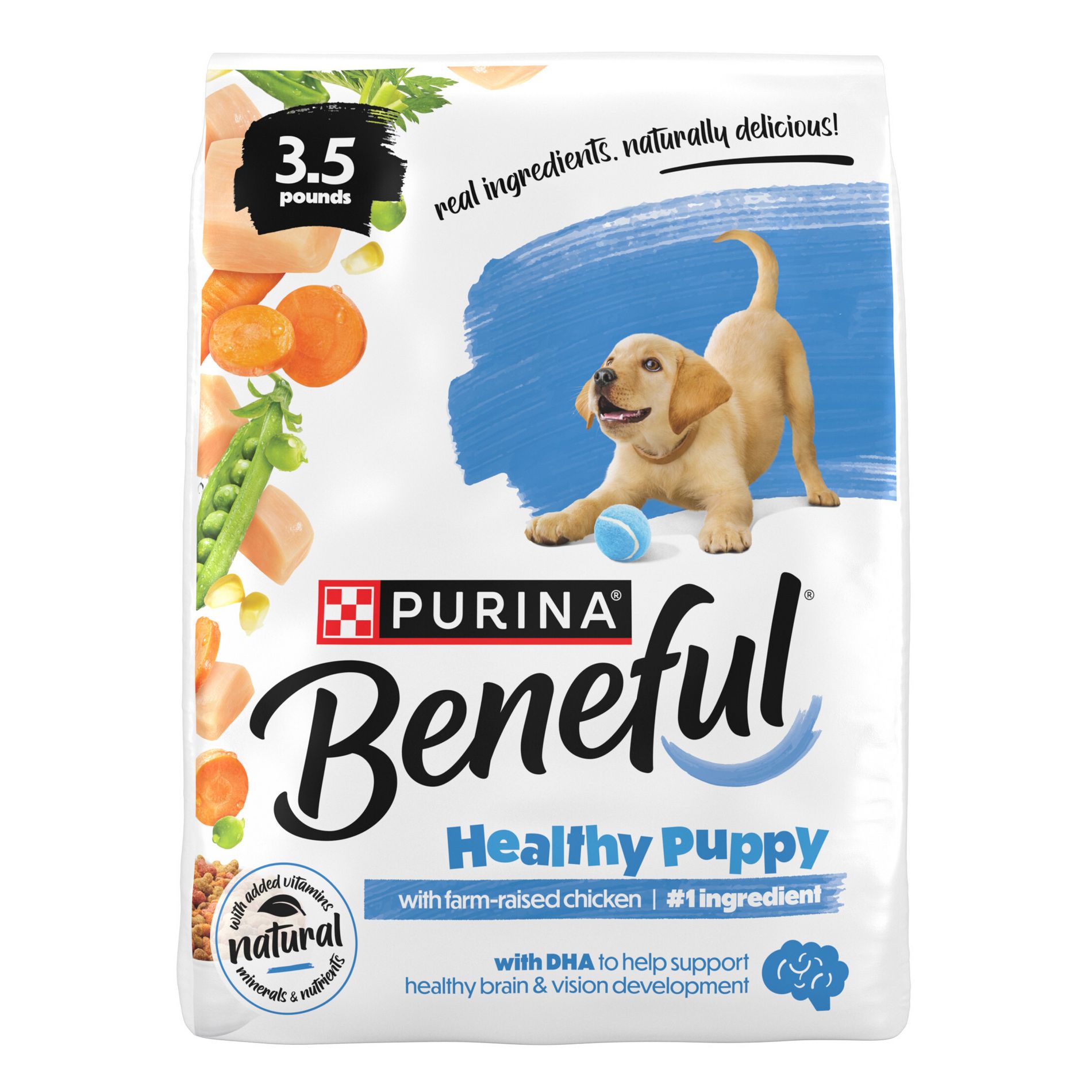 Purina Beneful Healthy Puppy Real Chicken Flavor Dry Dog Food - 3.5lbs