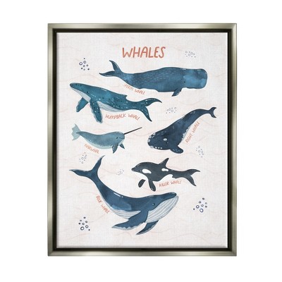 Stupell Industries Nautical Diagram Whale Narwhal Types Bubbles Illustration