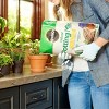 Miracle-Gro 6qt Indoor Potting Mix - 4 of 4
