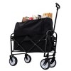 YONWAY Foldable Wagon Cart,Dual-Layer Design Beach Wagon,with All-Terrain Wheels for Camping Shopping Sports Gardening Fishing 225lbs Capacity - 2 of 4