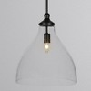Toltec Lighting Juno 1 - Light Pendant in  Matte Black with 16" Clear Bubble Shade - 4 of 4