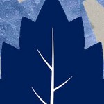 toronto maple leafs