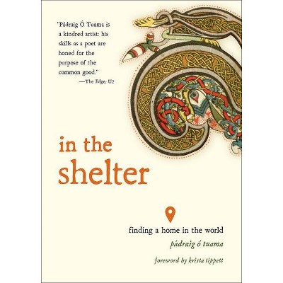 In the Shelter - by  Pádraig Ó Tuama (Paperback)