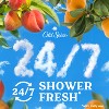Old Spice Body Wash for Men - Sunrise - Peach & Mandarin Peel Scented - 18 fl oz - 3 of 4