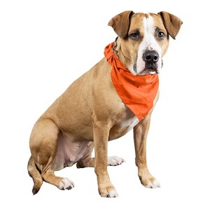 Balec 6 Pcs Plain Cotton Pets Dogs Bandana Triangle Shape  - Large Pets - 1 of 4