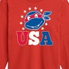 Boys' - Teenage Mutant Ninja Turtles - USA Raphael Long Sleeve Graphic T-Shirt - 2 of 4