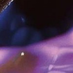 clear push pins bundle