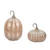 Transpac Glass 11.5 in. Orange Harvest Pumpkins Set of 2 - 3 of 4