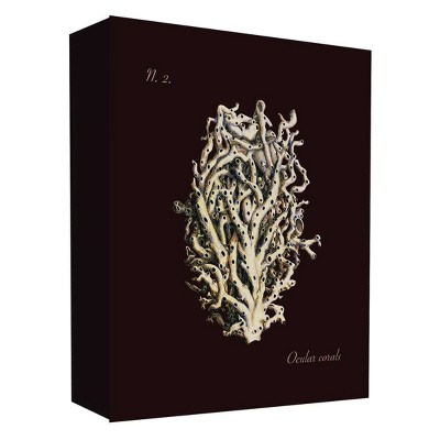 11" x 14" Sea Coral II Decorative Wall Art - PTM Images