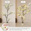 Faux Southern Magnolia Plant Yellow Flowered Magnolia, Artificial Magnolia Tree Inc. Realist Touch Flowers Vivid Leaves White Pot Dry Moss - 3 of 4