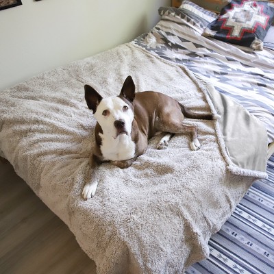 Target deals dog blanket